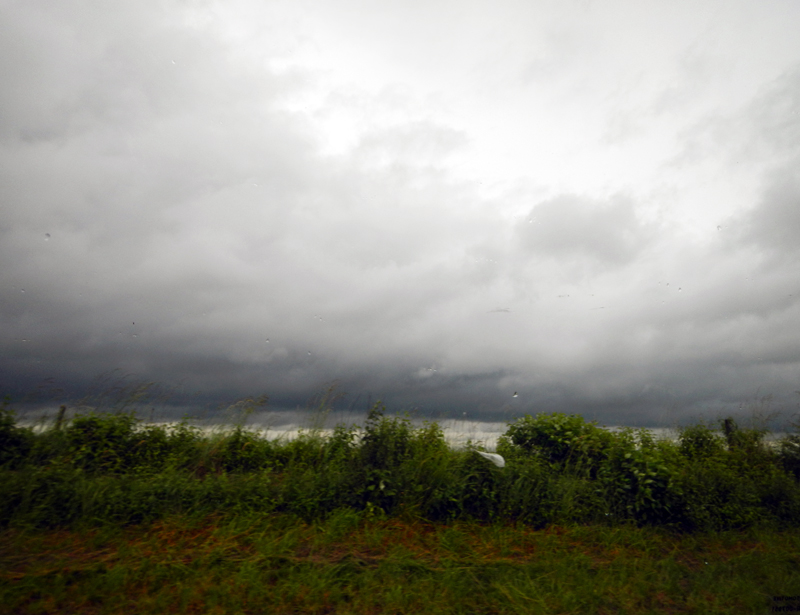 Renata Vogl the wind and the rain